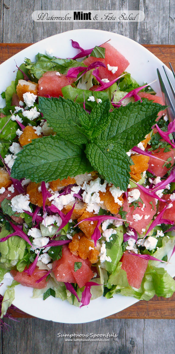 Watermelon, Mint & Feta Salad with Chicken, Bee Balm & a Honey Lime Margarita Vinaigrette ~ Sumptuous Spoonfuls #refreshing #summer #salad #recipe