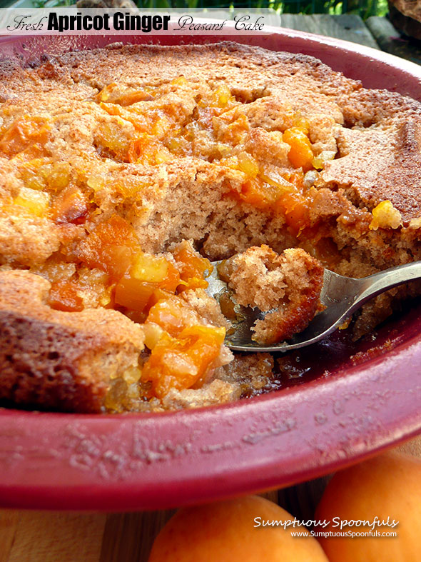 Fresh Apricot Ginger Peasant Cake ~ Sumptuous Spoonfuls #cake #dessert #recipe