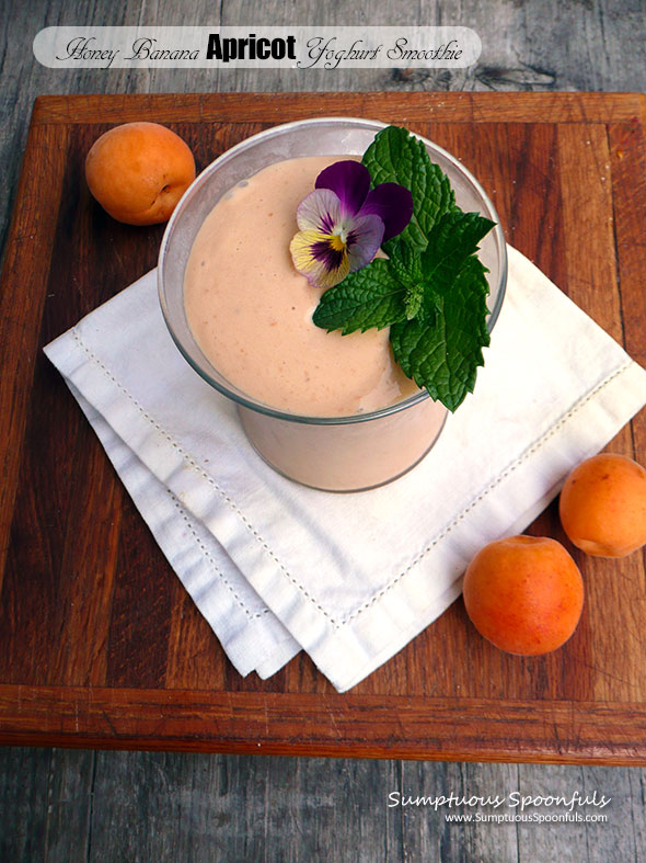 Honey Banana Apricot Yoghurt Smoothie ~ Sumptuous Spoonfuls #apricot #smoothie #recipe #noosayoghurt