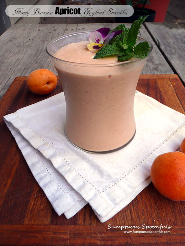 Honey Banana Apricot Yoghurt Smoothie ~ Sumptuous Spoonfuls #apricot #smoothie #recipe #noosayoghurt