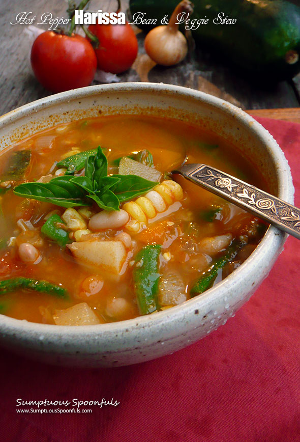 Hot Pepper Harissa Bean & Veggie Stew ~ Sumptuous Spoonfuls #spicy #vegetable #stew #recipe