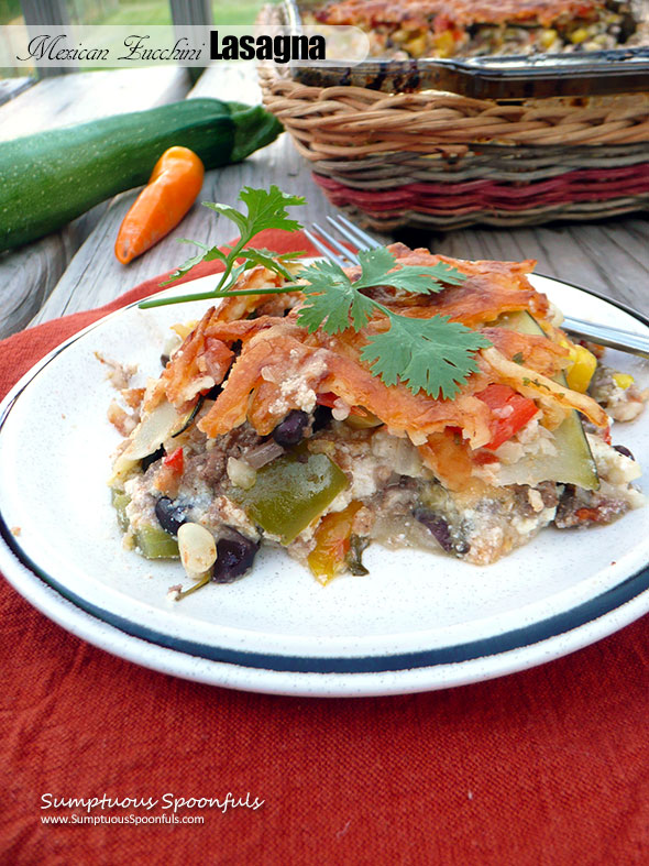 Mexican Zucchini Lasagna ~ Sumptuous  Spoonfuls #glutenfree #paleo #zucchini #mexican #lasagna #recipe