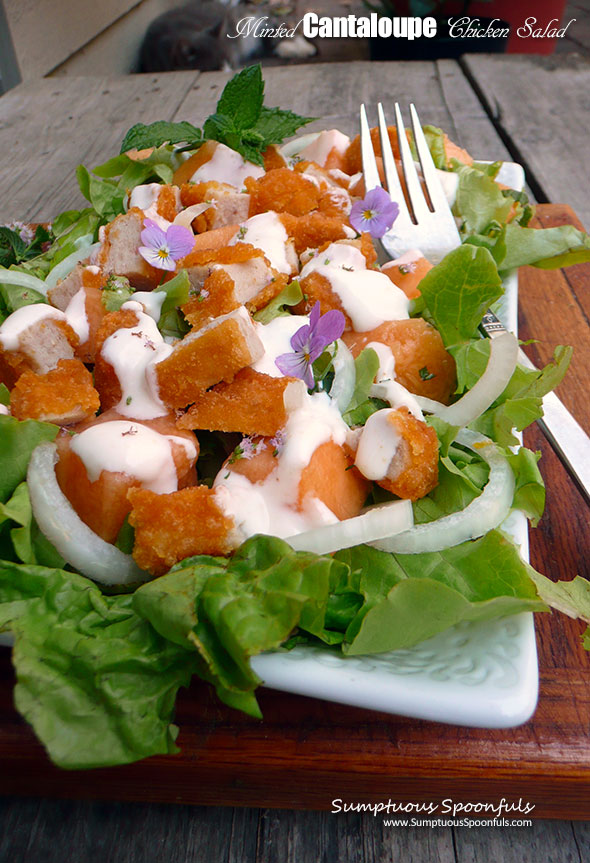 Minted Cantaloupe Chicken Salad with Minted Yogurt Dressing ~ Sumptuous Spoonfuls #summer #melon #salad #recipe