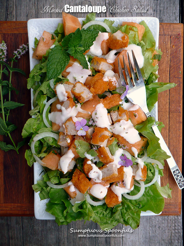 Minted Cantaloupe Chicken Salad with Minted Yogurt Dressing ~ Sumptuous Spoonfuls #summer #melon #salad #recipe