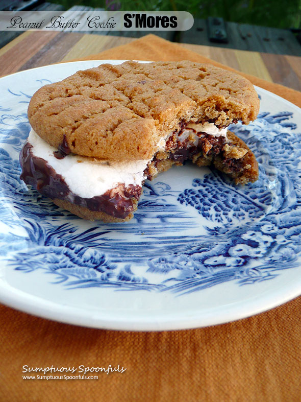 Peanut Butter Cookie S'Mores ~ Sumptuous Spoonfuls #cookie #smore #recipe