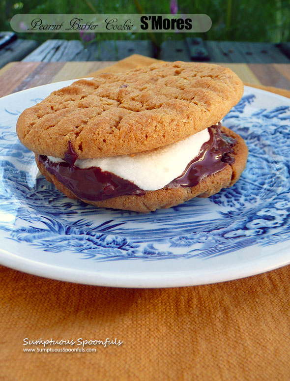 Peanut Butter Cookie S'Mores ~ Sumptuous Spoonfuls #cookie #smore #recipe