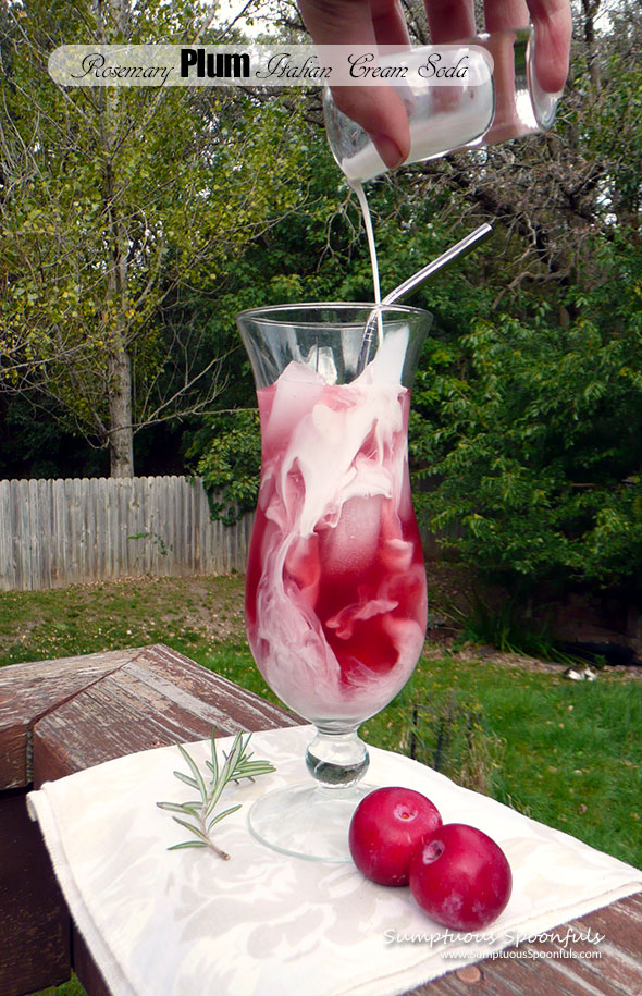 Rosemary Plum Italian Cream Sodas ~ Sumptuous Spoonfuls #homemade #Italian #soda #recipe