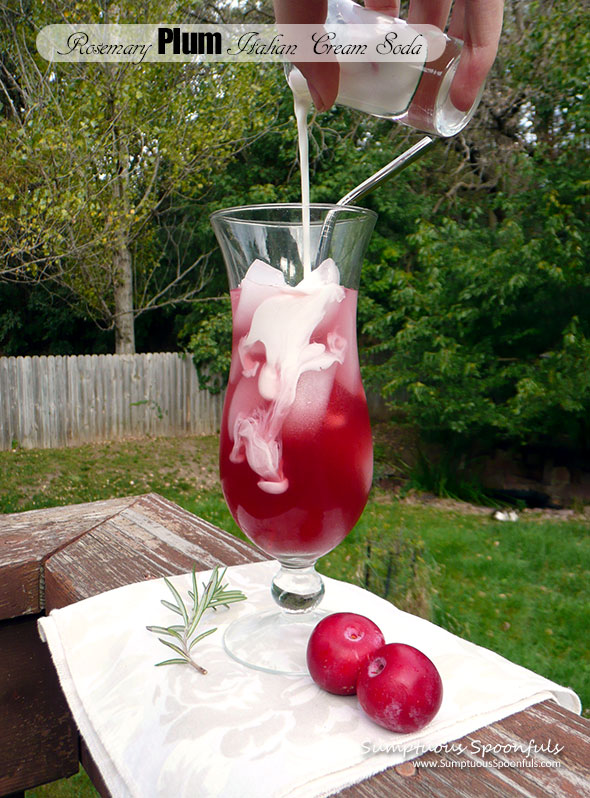 Rosemary Plum Italian Cream Sodas ~ Sumptuous Spoonfuls #homemade #Italian #soda #recipe