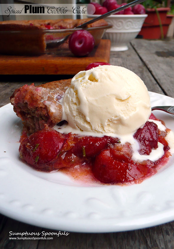 Spiced Plum Cobbler Cake ~ Sumptuous Spoonfuls #plum #dessert #cobbler #recipe