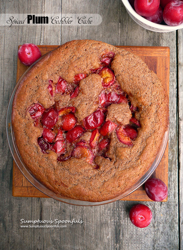 Spiced Plum Cobbler Cake ~ Sumptuous Spoonfuls #plum #dessert #cobbler #recipe