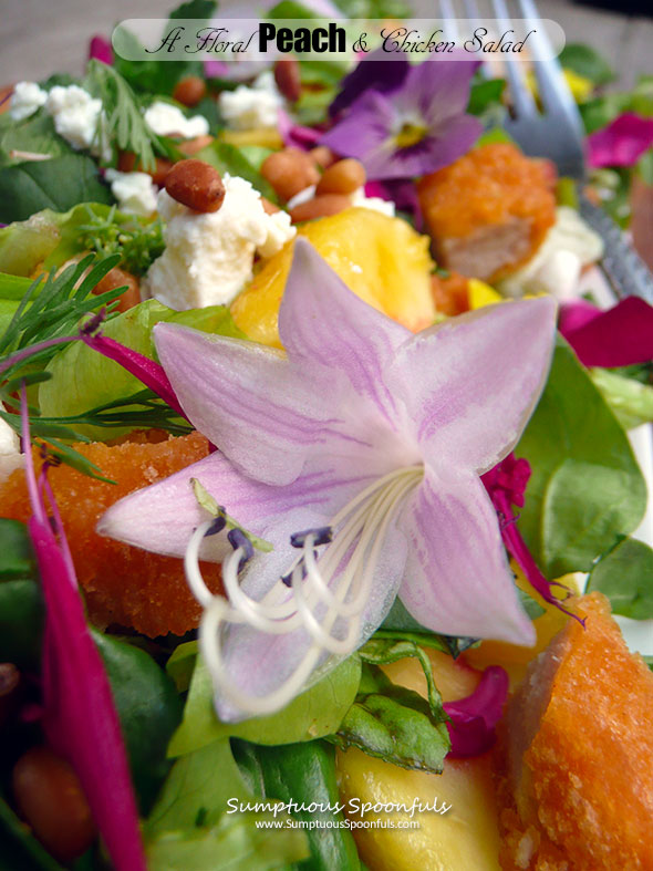 A Floral Peach & Chicken Salad with Tequila Honey Lime Vinaigrette ~ Sumptuous Spoonfuls #edible #flower #peach #chicken #salad #recipe