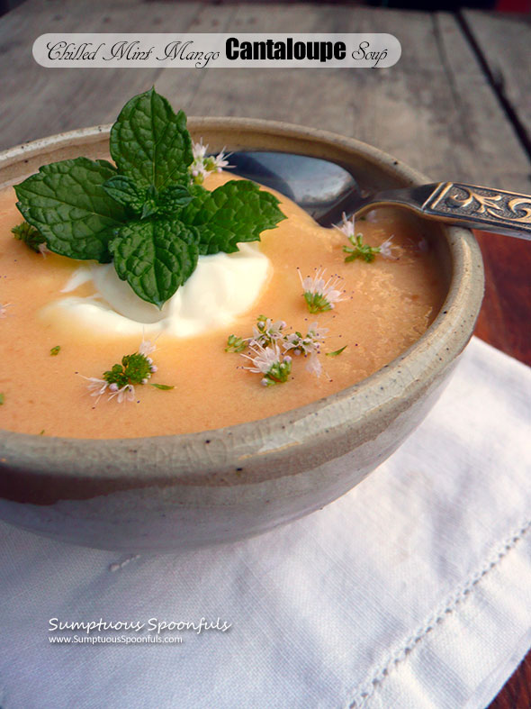 Chilled Mint Mango Cantaloupe Soup ~ Sumptuous Spoonfuls #dessert #smoothie #soup #recipe
