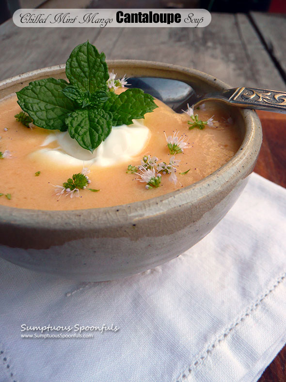 Chilled Mint Mango Cantaloupe Soup ~ Sumptuous Spoonfuls #dessert #smoothie #soup #recipe