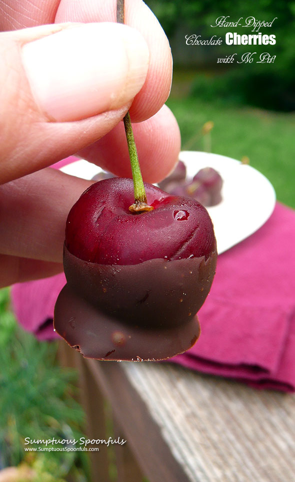 Hand-dipped Chocolate Covered Cherries - Pit-less! ~ Sumptuous Spoonfuls #easy #dessert #recipe #diy #cherrypitter