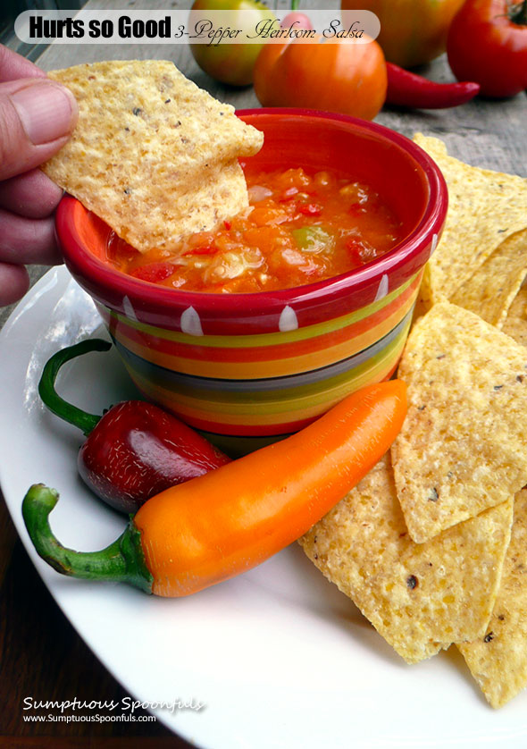 Hurts so Good 3-Pepper Heirloom Tomato Salsa ~ Sumptuous Spoonfuls #spicy #hot #salsa #recipe