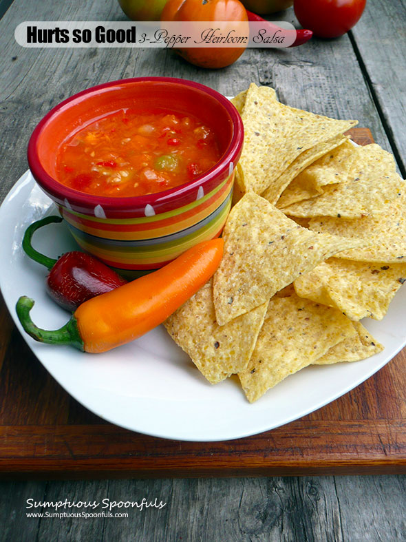 Hurts so Good 3-Pepper Heirloom Tomato Salsa ~ Sumptuous Spoonfuls #spicy #hot #salsa #recipe