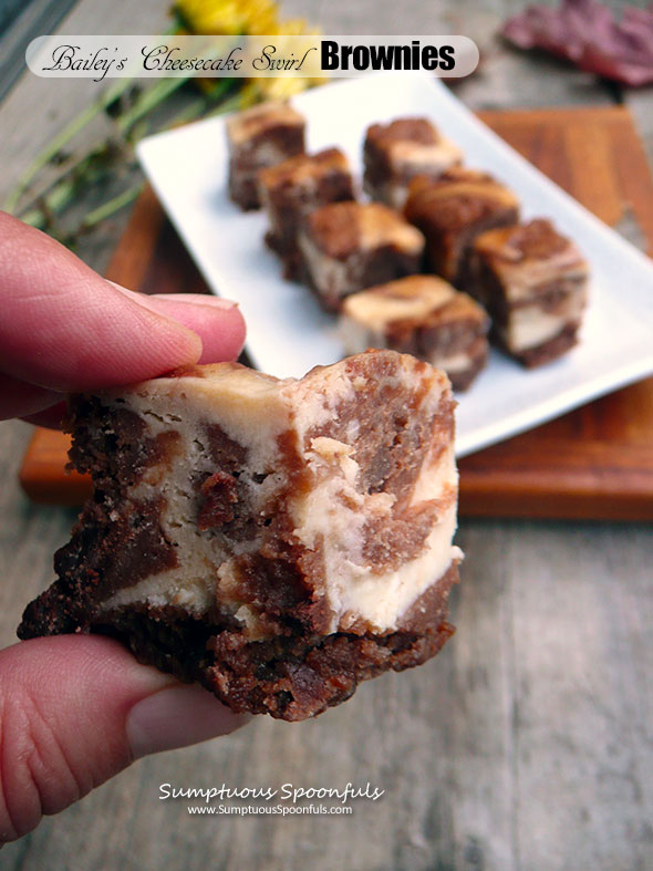 Bailey's Cheesecake Swirl Brownies ~ Sumptuous Spoonfuls #Choctoberfest #brownie #recipe with Imperial Sugar