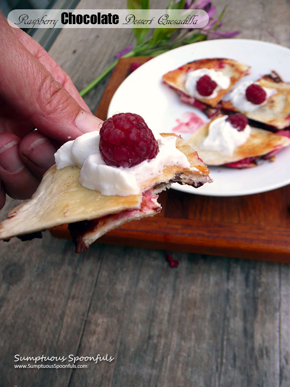 Raspberry Chocolate Dessert Quesadilla ~ Sumptuous Spoonfuls #Choctoberfest #easy #raspberry #chocolate #dessert #recipe