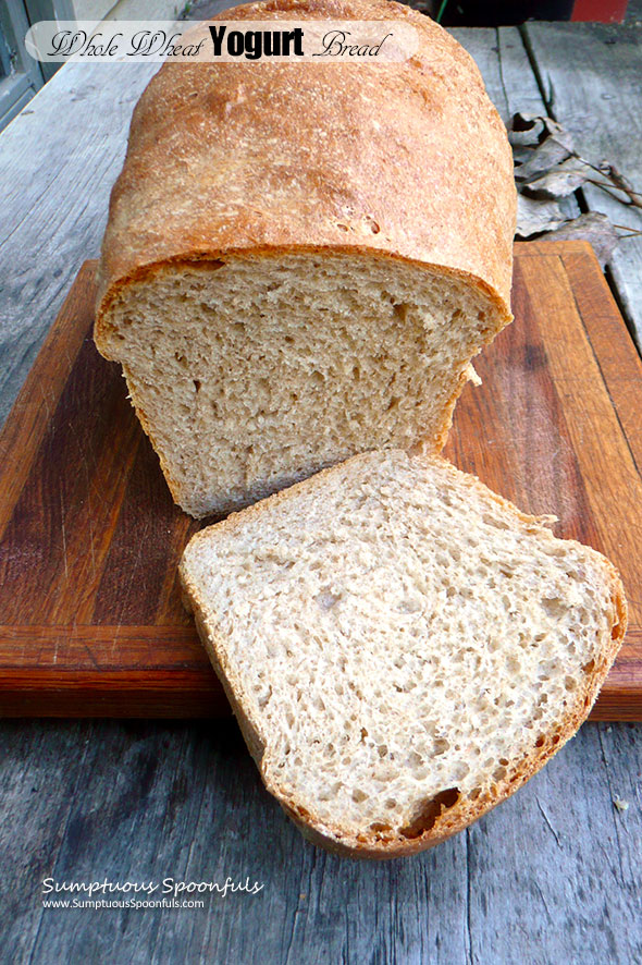 Whole Wheat Yogurt Bread ~ Soft fluffy homemade bread that stays soft for days ~ Sumptuous Spoonfuls #breadmachine #recipe