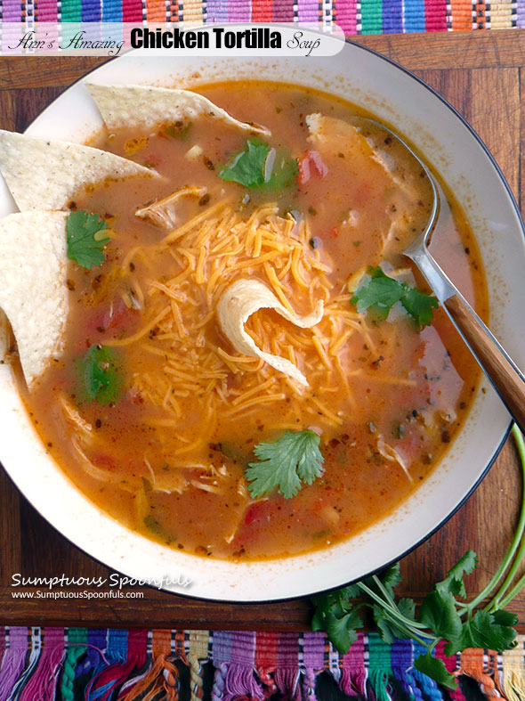 Ann's Amazing Chicken Tortilla Soup ~ Sumptuous Spoonfuls #Mexican #chicken #soup #recipe