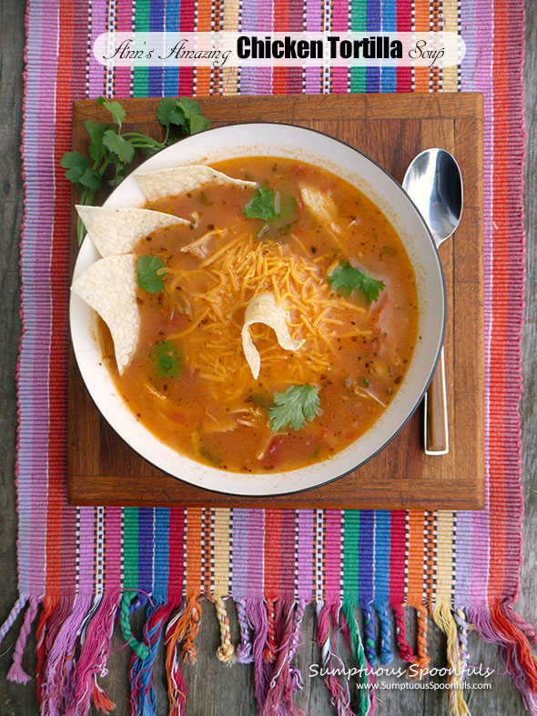 Ann's Amazing Chicken Tortilla Soup ~ Sumptuous Spoonfuls #Mexican #chicken #soup #recipe
