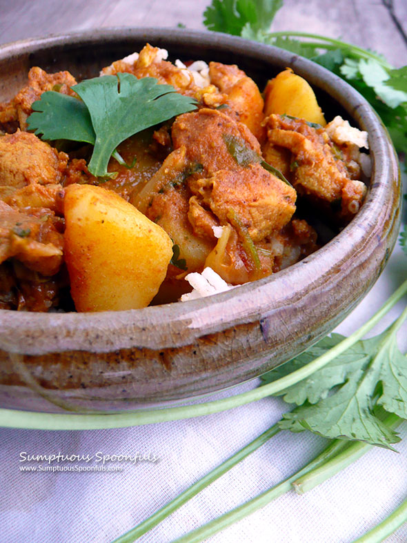 Biswa's Winning Chicken Curry ~ Sumptuous Spoonfuls #amazing #chicken #curry #recipe