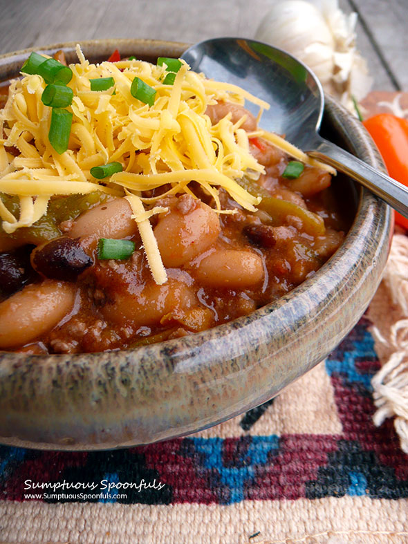 Six-Pepper Venison Chili with Beans ~ Sumptuous Spoonfuls #spicy #homemade #chili #recipe