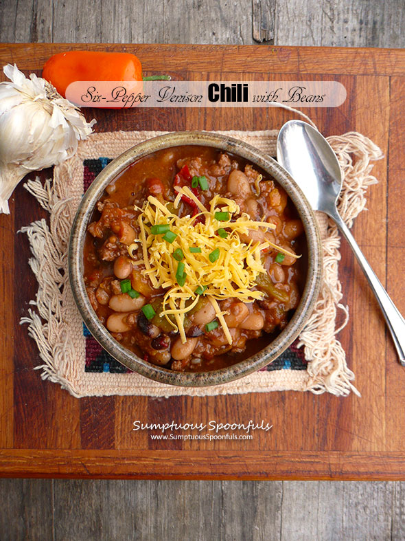 Six-Pepper Venison Chili with Beans ~ Sumptuous Spoonfuls #spicy #homemade #chili #recipe