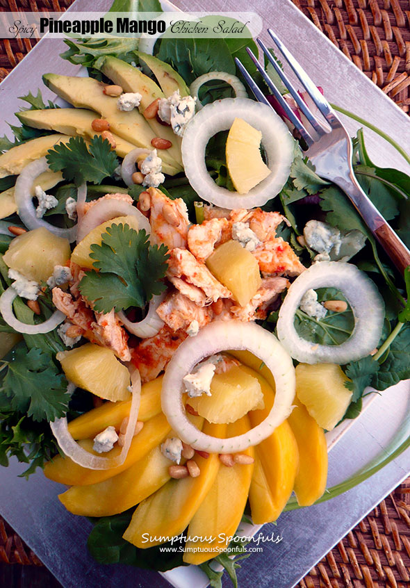 Spicy Pineapple Mango Chicken Salad with Fiery Roasted Pineapple Vinaigrette ~ Sumptuous Spoonfuls #tropical #hot #chicken #salad #recipe