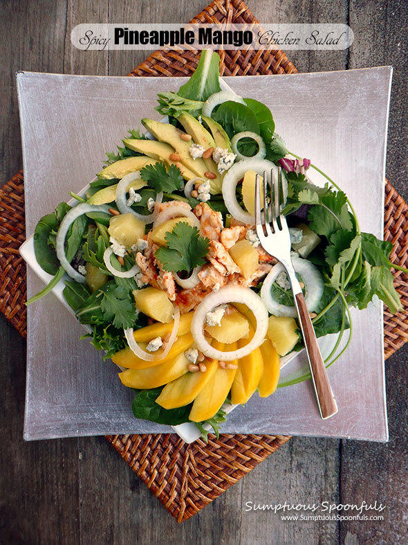 Spicy Pineapple Mango Chicken Salad with Fiery Roasted Pineapple Vinaigrette ~ Sumptuous Spoonfuls #tropical #hot #chicken #salad #recipe