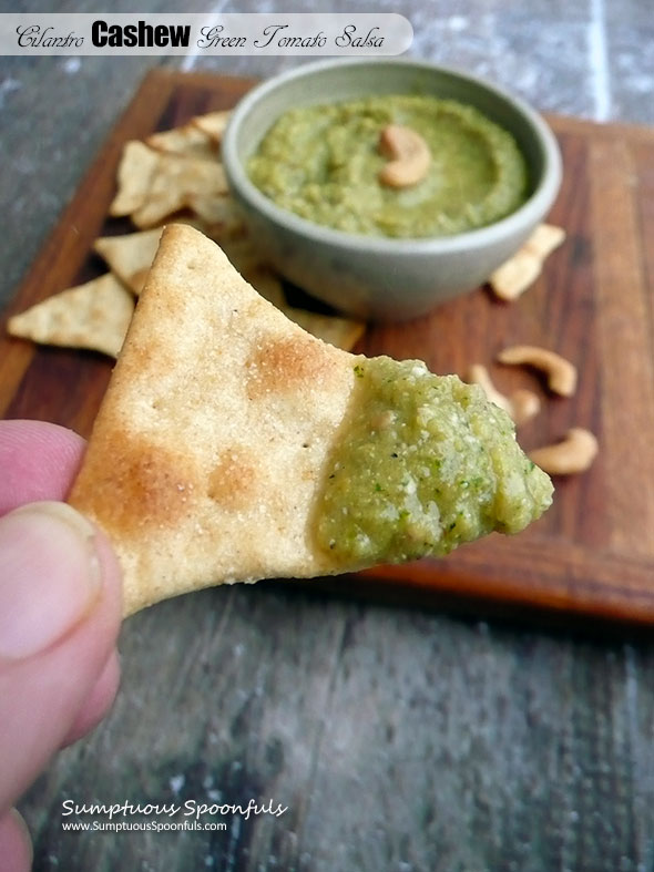 Cilantro Cashew Green Tomato Salsa ~ Sumptuous Spoonfuls #spicy #cilantro #salsa #recipe