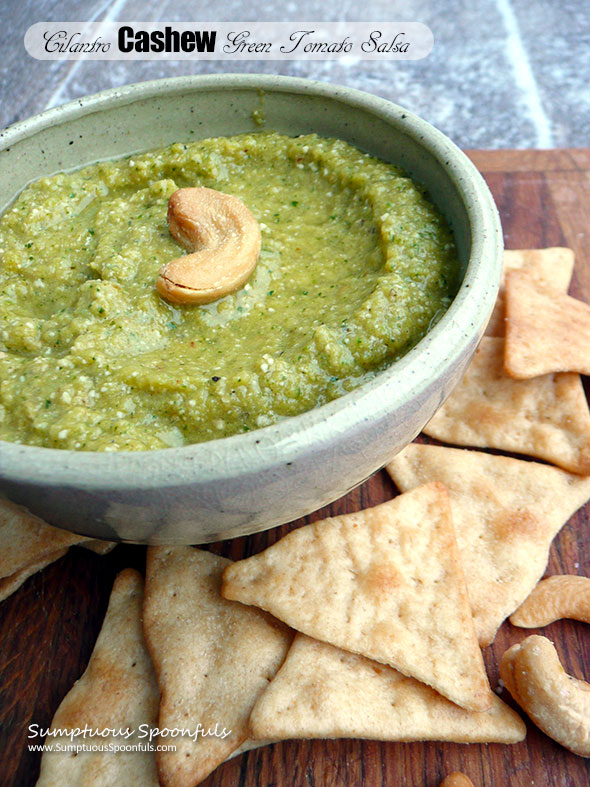 Cilantro Cashew Green Tomato Salsa ~ Sumptuous Spoonfuls #spicy #cilantro #salsa #recipe