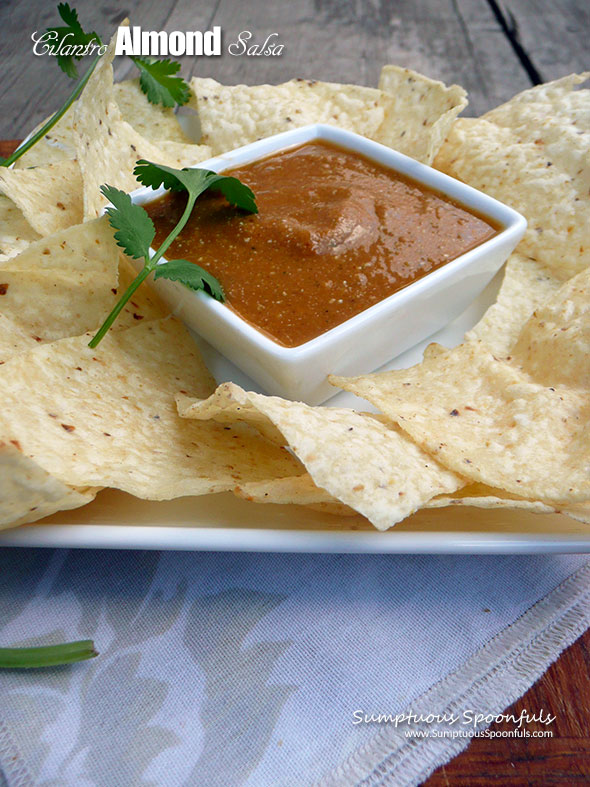 Cilantro Almond Salsa ~ Sumptuous Spoonfuls #creamy #hot #salsa #recipe