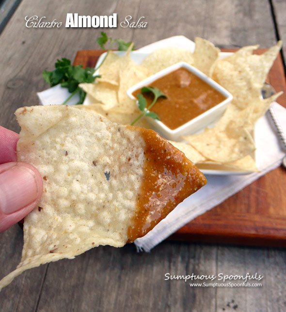 Cilantro Almond Salsa ~ Sumptuous Spoonfuls #creamy #hot #salsa #recipe