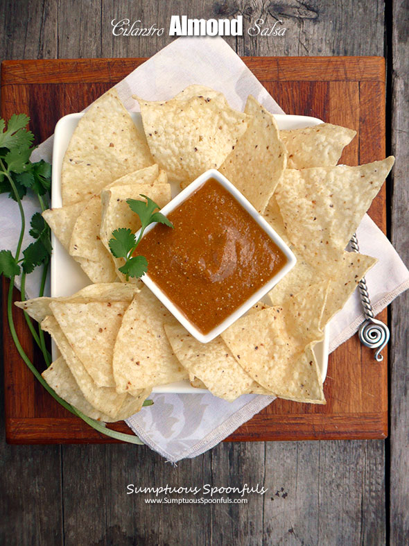 Cilantro Almond Salsa ~ Sumptuous Spoonfuls #creamy #hot #salsa #recipe