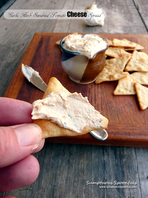 Garlic Herb Sundried Tomato Cheese Spread ~ Sumptuous Spoonfuls #GreekCreamCheese #Easy #Cheese #Spread #recipe