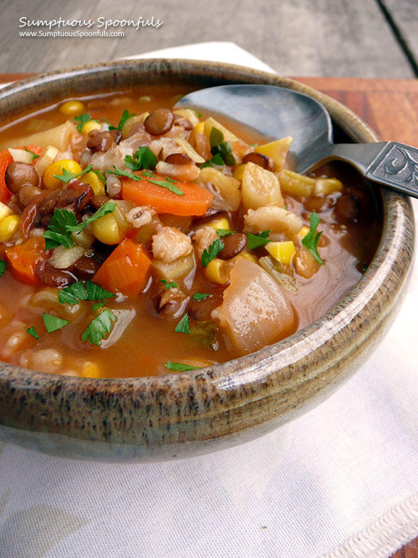 Barley Lentil Harissa Veggie Stew ~ Sumptuous Spoonfuls #vegetable #stew #recipe #glutenfree #vegetarian