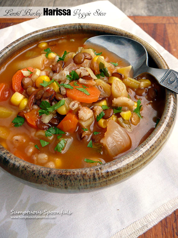 Barley Lentil Harissa Veggie Stew ~ Sumptuous Spoonfuls #vegetable #stew #recipe #glutenfree #vegetarian