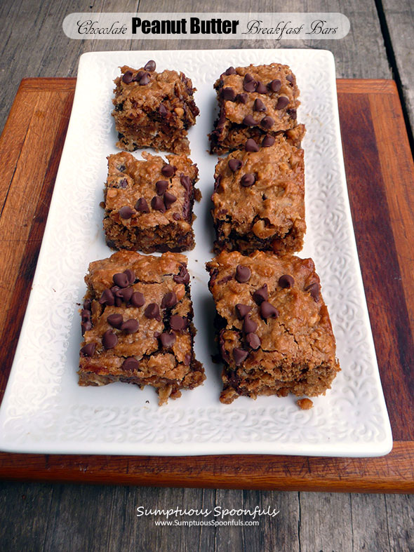 Chocolate Peanut Butter Breakfast Bars ~ Sumptuous Spoonfuls #PB #oats #breakfast #chocolate #recipe