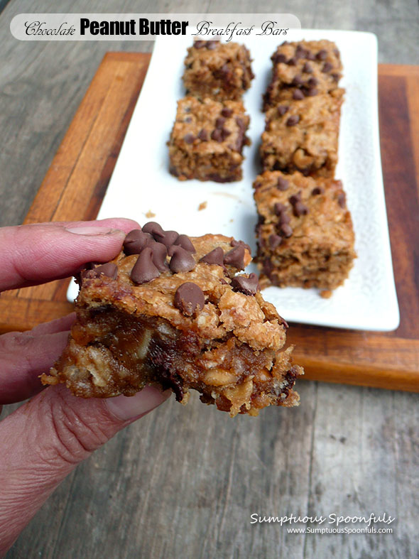 Chocolate Peanut Butter Breakfast Bars ~ Sumptuous Spoonfuls #PB #oats #breakfast #chocolate #recipe