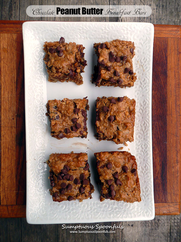 Chocolate Peanut Butter Breakfast Bars ~ Sumptuous Spoonfuls #PB #oats #breakfast #chocolate #recipe