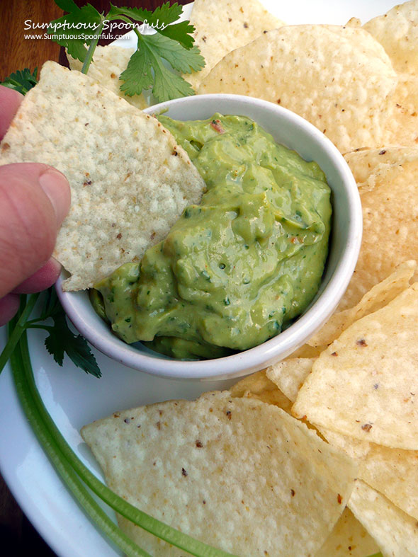 Creamy Cilantro Jalapeno Avocado Dip ~ Sumptuous Spoonfuls #easy #spicy #avocado #dip