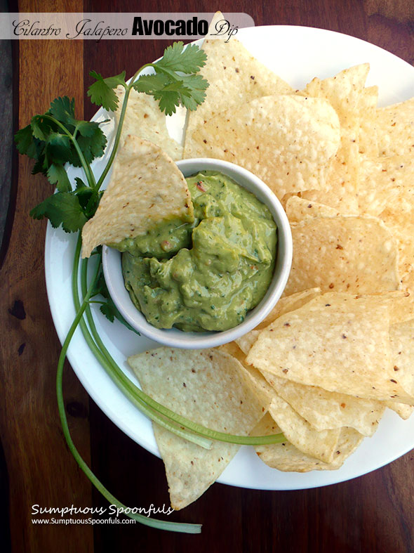 Creamy Cilantro Jalapeno Avocado Dip ~ Sumptuous Spoonfuls #easy #spicy #avocado #dip