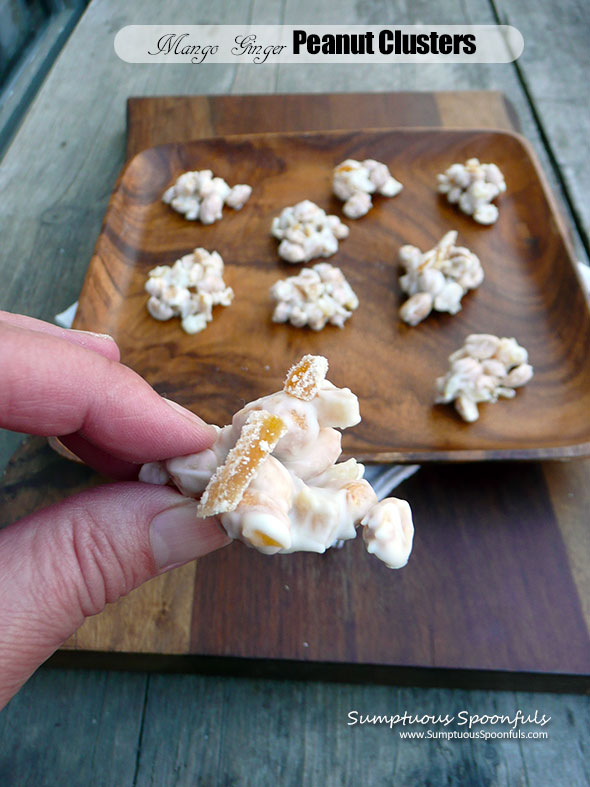 Mango Ginger Peanut Clusters ~ Sumptuous Spoonfuls #quick #easy #candy #treat #recipe #glutenfree