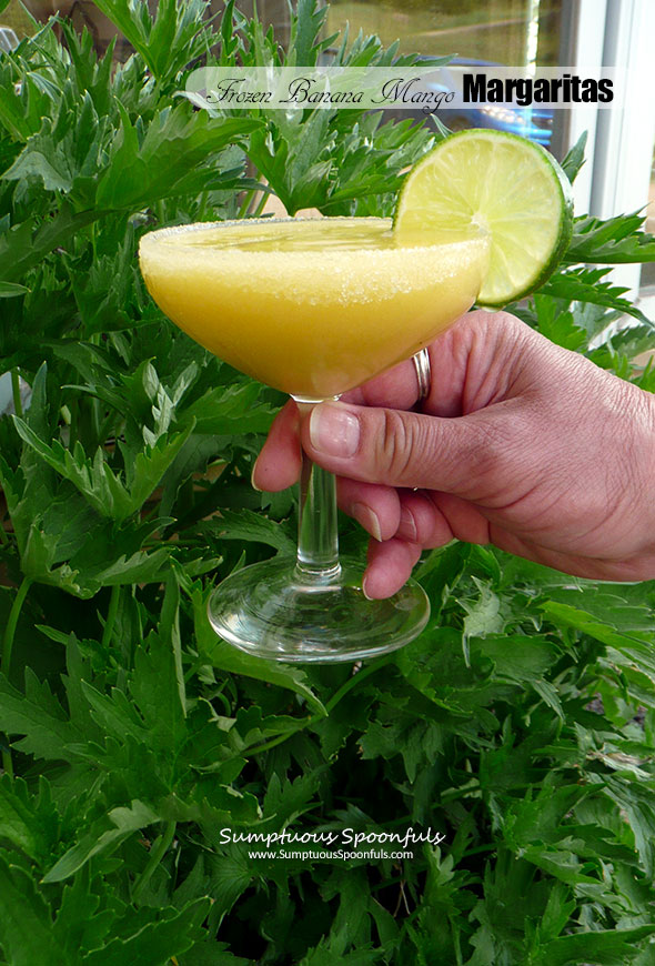 Frozen Banana Mango Margaritas ~ Sumptuous Spoonfuls #tropical #margarita #recipe