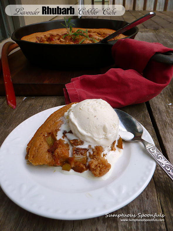 Lavender Rhubarb Cobbler Cake ~ Sumptuous Spoonfuls #rhubarb #lavender #cobbler #dessert #recipe