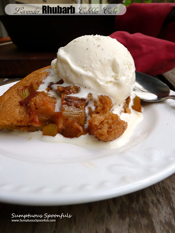 Lavender Rhubarb Cobbler Cake ~ Sumptuous Spoonfuls #rhubarb #lavender #cobbler #dessert #recipe