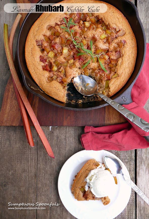 Lavender Rhubarb Cobbler Cake ~ Sumptuous Spoonfuls #rhubarb #lavender #cobbler #dessert #recipe