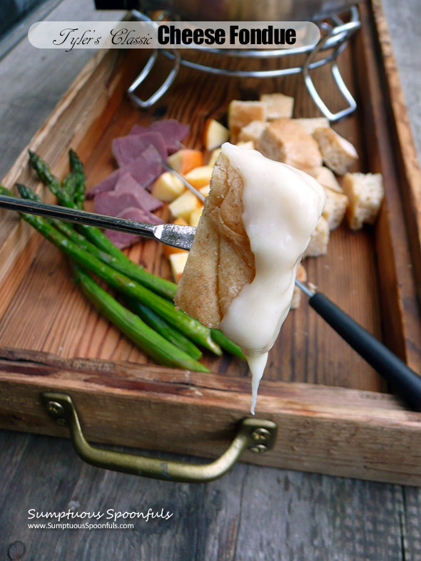 Tyler's Classic Cheese Fondue ~ Sumptuous Spoonfuls #cheese #fondue #recipe #TylerFlorence #YUM!