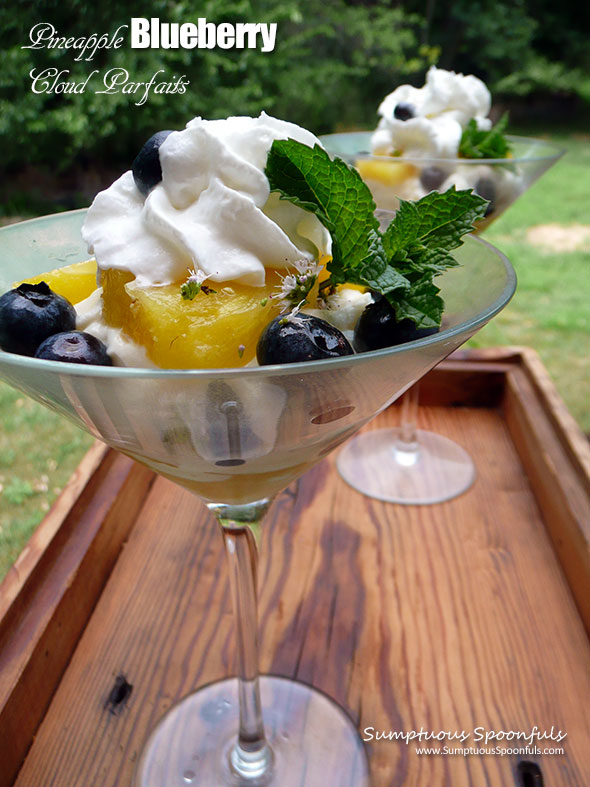 Pineapple Blueberry Cloud Parfaits ~ Sumptuous Spoonfuls #light #fruity #summer #dessert #recipe